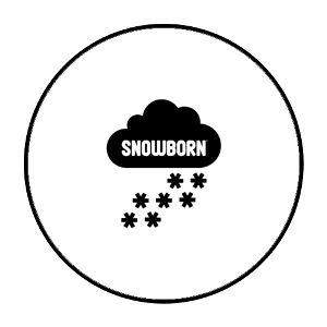 snowborn.png